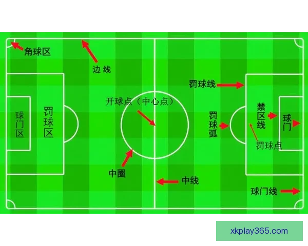 世界杯足球竞猜盘口深度解析与投注技巧全面指南助赢赛场胜负走势预测